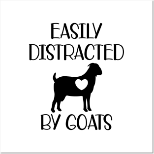 Goat - Easily distracted by goats Posters and Art